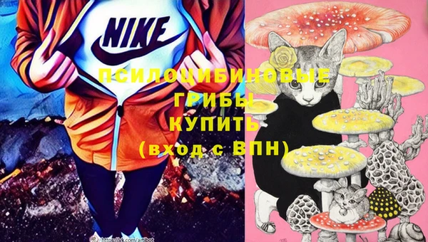 прущая мука Абаза