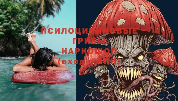 прущая мука Абаза